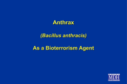 Anthrax (Bacillus anthracis)  As a Bioterrorism Agent Anthrax • A zoonotic disease of cattle, sheep, and horses • Human infection results from direct contact.