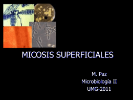 MICOSIS SUPERFICIALES M. Paz Microbiología II UMG-2011 Micosis superficiales: enfermedades que invaden solamente la capa córnea.