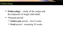 Embryology  • •  Embryology – study of the origin and development of single individual Prenatal period  • Embryonic period – first 8 weeks • Fetal period –