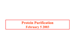 Protein Purification February 5 2003 “A basic comprehension of the methods described here is necessary for an appreciation of the significance and the limitations of.