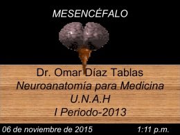 MESENCÉFALO  Dr. Omar Díaz Tablas Neuroanatomía para Medicina U.N.A.H I Periodo-2013 06 de noviembre de 2015  1:11 p.m.
