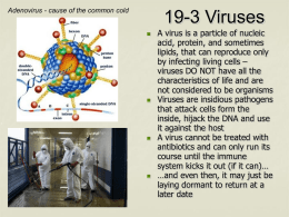 Adenovirus - cause of the common cold  19-3 Viruses         A virus is a particle of nucleic acid, protein, and sometimes lipids, that can reproduce.