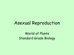 Asexual Reproduction World of Plants Standard Grade Biology Definition  Sexual Reproduction  Asexual Reproduction  •Involves sex cells and fertilisation  •Does not involve sex cells and fertilisation •Only one parent plant  Advantages/ Disadvantages  •Offspring are not genetically.