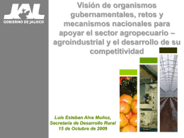 Visión de organismos gubernamentales, retos y mecanismos nacionales para apoyar el sector agropecuario – agroindustrial y el desarrollo de su competitividad  Luis Esteban Alva Muñoz, Secretaría de.