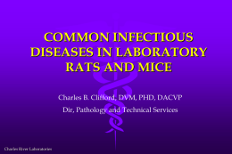 COMMON INFECTIOUS DISEASES IN LABORATORY RATS AND MICE Charles B. Clifford, DVM, PHD, DACVP Dir, Pathology and Technical Services  Charles River Laboratories.