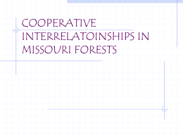 COOPERATIVE INTERRELATOINSHIPS IN MISSOURI FORESTS ECOSYSTEM All the organisms and the non-living environment within a defined area.