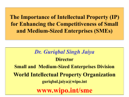 The Importance of Intellectual Property (IP) for Enhancing the Competitiveness of Small and Medium-Sized Enterprises (SMEs)  Dr.
