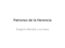 Patrones de la Herencia Gregorio Mendel y sus leyes • La herencia es un proceso por el cual se transmiten las características.