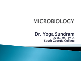 Dr. Yoga Sundram  DVM., MS., PhD. South Georgia College The main themes of Microbiology.