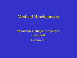 Medical Biochemistry Membranes: Bilayer Properties, Transport Lecture 71 Membrane function • Serve as barriers to separate contents of cell from external environment or contents of.