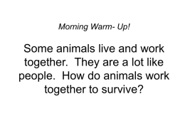 Morning Warm- Up!  Some animals live and work together. They are a lot like people.