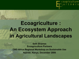 Ecoagriculture : An Ecosystem Approach in Agricultural Landscapes Seth Shames Ecoagriculture Partners CBD Africa Regional Workshop on Sustainable Use Nairobi, Kenya, December 2006