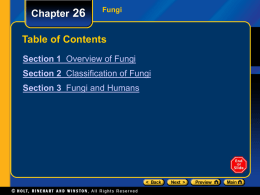 Chapter 26  Fungi  Table of Contents Section 1 Overview of Fungi Section 2 Classification of Fungi Section 3 Fungi and Humans.