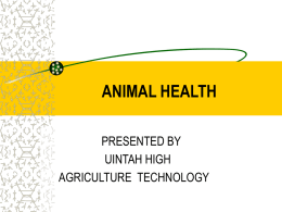 ANIMAL HEALTH PRESENTED BY UINTAH HIGH AGRICULTURE TECHNOLOGY Performance Objective After completion of this unit, students should be able to recognize healthy and unhealthy livestock.