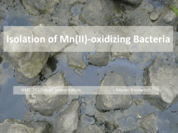 Isolation of Mn(II)-oxidizing Bacteria  HMC 2010 short presentation  Maren Emmerich Why?  How?  Results  • Mn 2nd most abundant transition metal in Earth‘s crust • Mn redox.
