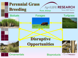 Russ Jessup  Biofuels  Ornamentals  Turfgrass  Forages  Bioproducts Perennial Grasses Carbon Sequestration  Biomass Production  3–4 dt/ac/yr  10 - 30 dt/ac/yr  Low Inputs (Resource Use Efficiency)  Alternative Uses (Biorefineries)