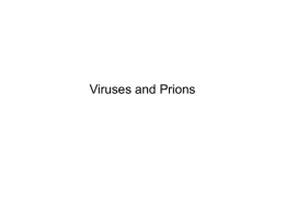 Viruses and Prions RNA Viruses Picornaviruses • Poliomyelitis – Fecal-oral and pharyngeal transmission – Attacks NS and can cause paralysis – Vaccine has nearly.