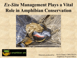 Ex-Situ Management Plays a Vital Role in Amphibian Conservation  Materials produced by:  Kevin Zippel, CBSG/WAZA Amphibian Program Officer.