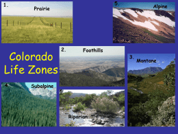 1.  Prairie  Colorado Life Zones 4.  5.  Subalpine  2.  Foothills  6.  Riparian  Alpine  3.  Montane Colorado Life Zones Alpine 11,500 +ft.  Sub alpine 10,000 – 11,500 ft.  Montane 8,000 – 10,000 ft.  Foothills 5,500 – 8,000 ft. Plains 3,500 – 5,500 ft.  Riparian.