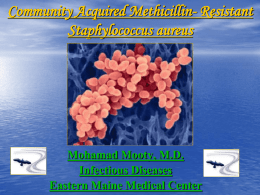 Community Acquired Methicillin- Resistant Staphylococcus aureus  Mohamad Mooty, M.D. Infectious Diseases Eastern Maine Medical Center.