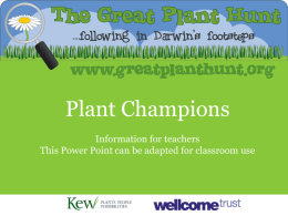 Plant Champions Information for teachers This Power Point can be adapted for classroom use.