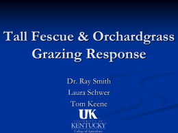 Tall Fescue & Orchardgrass Grazing Response Dr. Ray Smith Laura Schwer Tom Keene Methods Two similar plants, tall fescue and orchardgrass, were chosen from greenhouse.  Both were.