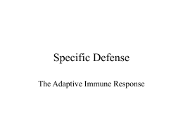 Specific Defense The Adaptive Immune Response Specific Immunity • Augments mechanisms of nonspecific defense • Has memory about specific pathogens • Second encounter with same.