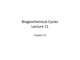 Biogeochemical Cycles Lecture 11 Chapter 23 Nutrients – Macronutrients: Organism would fail completely C, H, O, N, P, K, Ca, Mg, S Micronutrients: required as.