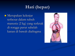 Hati (hepar)   Merupakan kelenjar terbesar dalam tubuh manusia (2 kg) yang terletak di rongga perut sabelah kanan di bawah diafragma.
