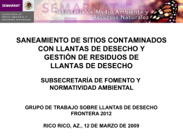 SANEAMIENTO DE SITIOS CONTAMINADOS CON LLANTAS DE DESECHO Y GESTIÓN DE RESIDUOS DE LLANTAS DE DESECHO SUBSECRETARÍA DE FOMENTO Y NORMATIVIDAD AMBIENTAL GRUPO DE TRABAJO SOBRE.