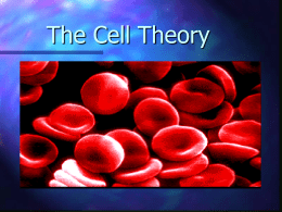 The Cell Theory Some Random Cell Facts The average human being is composed of around 100 Trillion individual cells!!!  It would take.