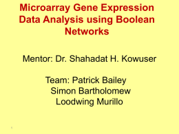 Microarray Gene Expression Data Analysis using Boolean Networks Mentor: Dr. Shahadat H. Kowuser Team: Patrick Bailey Simon Bartholomew Loodwing Murillo.