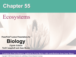 Chapter 55  Ecosystems  PowerPoint® Lecture Presentations for  Biology Eighth Edition Neil Campbell and Jane Reece Lectures by Chris Romero, updated by Erin Barley with contributions from.