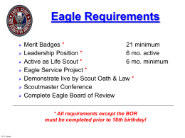 Eagle Requirements         Merit Badges * 21 minimum Leadership Position * 6 mo. active Active as Life Scout * 6 mo.