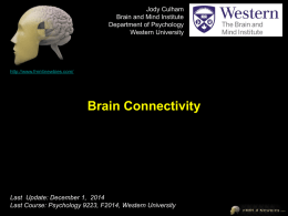 Jody Culham Brain and Mind Institute Department of Psychology Western University  http://www.fmri4newbies.com/  Brain Connectivity  Last Update: December 1, 2014 Last Course: Psychology 9223, F2014, Western University.