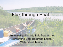 Flux through Peat  An investigation into fluid flow in the Serpentine Bog, Belgrade Lakes Watershed, Maine.
