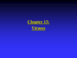 Chapter 13: Viruses Introduction to Viruses  “Virus” originates from Latin word “poison”.   Term was originally used by Pasteur to describe infectious agent for.