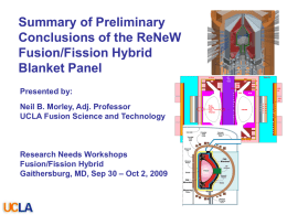 Summary of Preliminary Conclusions of the ReNeW Fusion/Fission Hybrid Blanket Panel Presented by: Neil B.