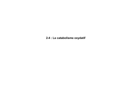 2-4 : Le catabolisme oxydatif La glycéraldéhyde 3P déshydrogénase La phosphofructokinase 1
