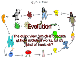 Evolution The quick view (which is opposite of how evolution works, so it’s kind of ironic eh?