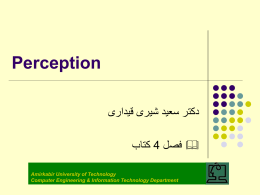 Perception  دکتر سعید شیری قیداری    کتاب 4  & فصل  Amirkabir University of Technology Computer Engineering & Information Technology Department.