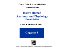 PowerPoint Lecture Outlines to accompany  Hole’s Human Anatomy and Physiology Eleventh Edition  Shier w Butler w Lewis  Chapter 3  Copyright © The McGraw-Hill Companies, Inc.
