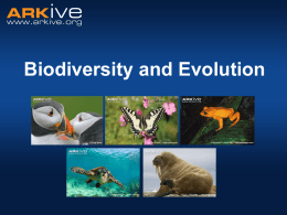 Biodiversity and Evolution What is biodiversity? • Biological diversity • The simple version number of different species in a given area or ‘species richness’ Coral.