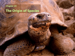 Chapter 24  The Origin of Species Macroevolution is the origin of new taxonomic groups, as opposed to microevolution, which is genetic variation between.