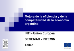 Mejora de la eficiencia y de la competitividad de la economía argentina INTI - Unión Europea SEGEMAR - INTEMIN Taller.