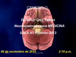 CEREBELO Dr. Omar Díaz Tablas Neuroanatomía para MEDICINA U.N.A.H I Periodo-2013  06 de noviembre de 2015 11/6/2015  Dr.