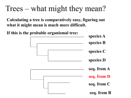 Trees – what might they mean? Calculating a tree is comparatively easy, figuring out what it might mean is much more difficult. If.