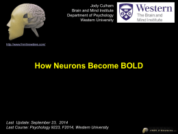 Jody Culham Brain and Mind Institute Department of Psychology Western University  http://www.fmri4newbies.com/  How Neurons Become BOLD  Last Update: September 23, 2014 Last Course: Psychology 9223, F2014, Western.