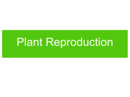 Plant Reproduction W O R K  • Is a seed alive? Is a fruit alive? Answer as completely as you can on your own paper.