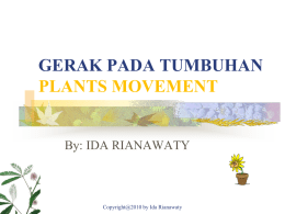GERAK PADA TUMBUHAN PLANTS MOVEMENT  By: IDA RIANAWATY  Copyright@2010 by Ida Rianawaty Tumbuhan mempunyai kepekaan tertentu untuk menanggapi rangsang yang diterimanya.Setiap rangsangan yang mengenai tumbuhan.